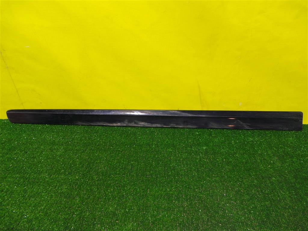 Volkswagen  Tiguan NF 2007 для Молдинг передней левой двери