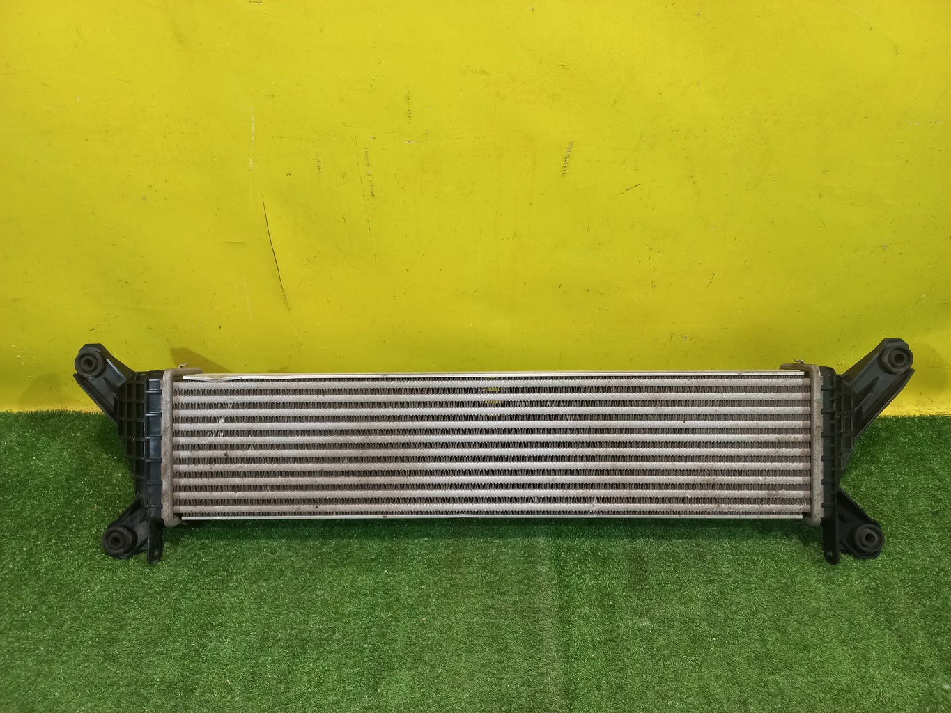 Great Wall Poer KingKong 2021 для Интеркулер