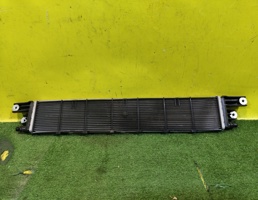 Радиатор масляный для Tank 500 2021  запчасти бу